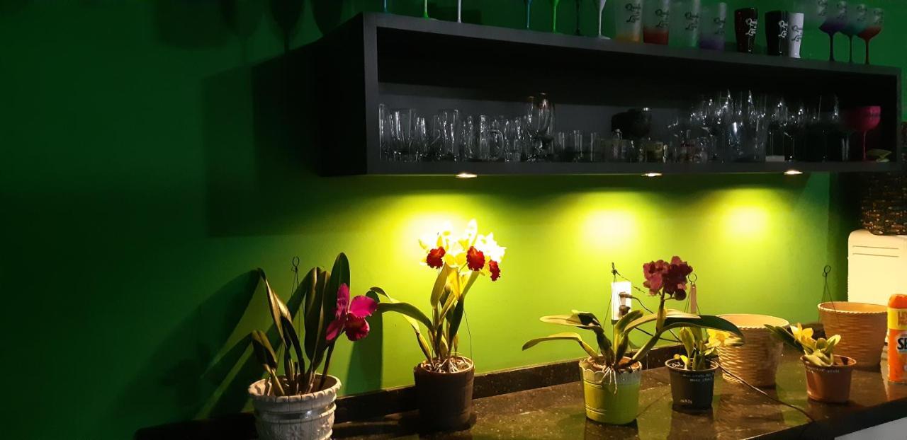 Quinta Do Lapa II Leilighet Florianópolis Eksteriør bilde
